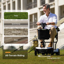 Paiseec D3 24V 270W Mobility Scooter with Basket - 300lbs Capacity
