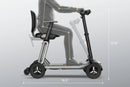 Paiseec L5 24V 250W Mobility Scooter - 265lbs Capacity