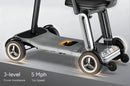 Paiseec L5 24V 250W Mobility Scooter - 265lbs Capacity
