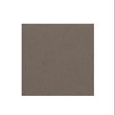 Graham-Field Lumex Ortho-Biotic II Recliner