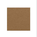 Graham-Field Lumex Ortho-Biotic II Recliner