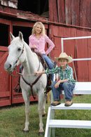 EZ-ACCESS FORTRESS OSHA Stair System