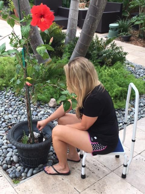 Platinum Health Group AdjustaStep Deluxe Step Stool with Handrail - Available in 300lb and 750lb Weight Capacity