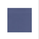 Graham-Field Lumex Ortho-Biotic II Recliner