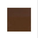 Graham-Field Lumex Ortho-Biotic II Recliner