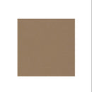 Graham-Field Lumex Ortho-Biotic II Recliner