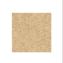 Graham-Field Lumex Ortho-Biotic II Recliner