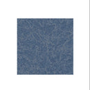 Graham-Field Lumex Ortho-Biotic II Recliner