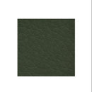 Graham-Field Lumex Ortho-Biotic II Recliner