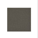 Graham-Field Lumex Ortho-Biotic II Recliner