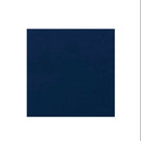 Graham-Field Lumex Ortho-Biotic II Recliner