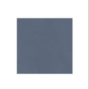 Graham-Field Lumex Ortho-Biotic II Recliner