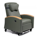 Graham-Field Lumex Ortho-Biotic II Recliner