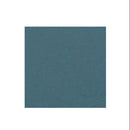 Graham-Field Lumex Ortho-Biotic II Recliner