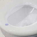 Platinum Health Group EuroLux Premium Bidet Toilet Seat, Electronic (No Outlet Required)