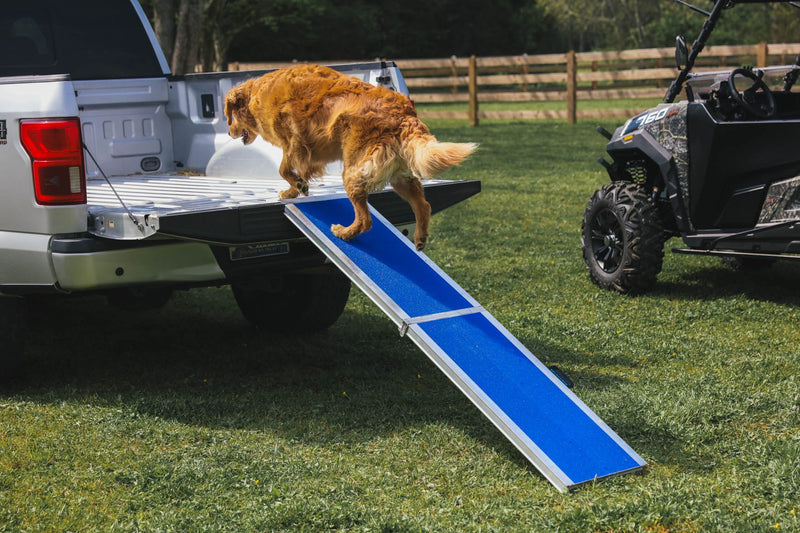 EZ-ACCESS FOUR RUNNER Portable Pet Ramp