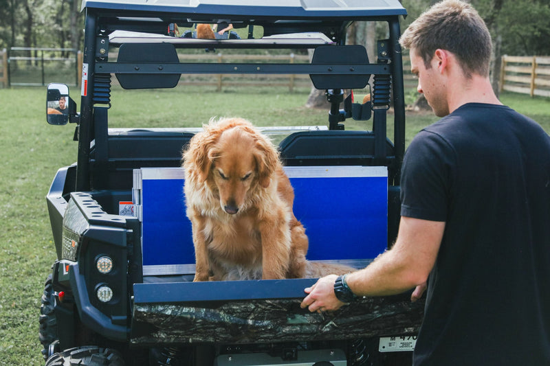 EZ-ACCESS FOUR RUNNER Portable Pet Ramp