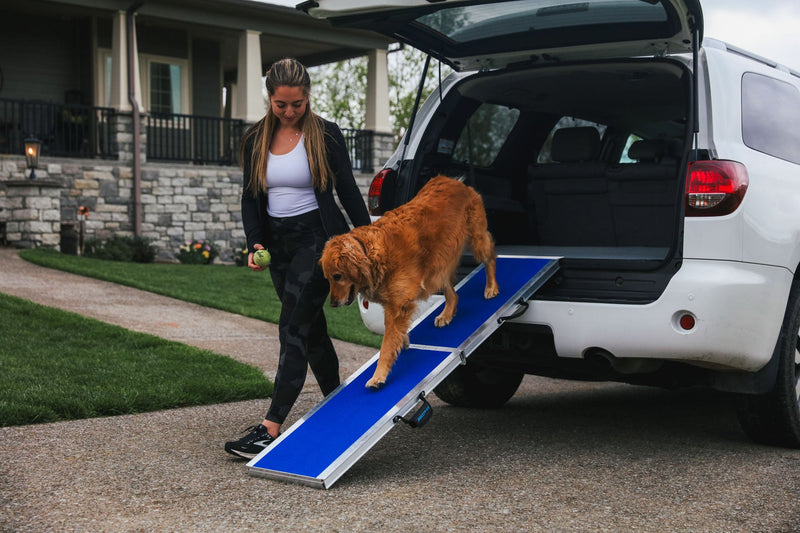 EZ-ACCESS FOUR RUNNER Portable Pet Ramp